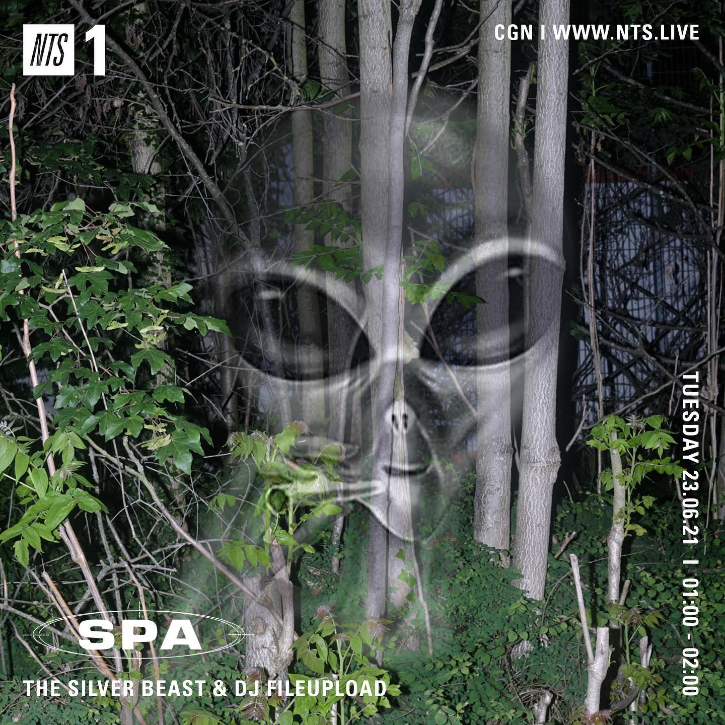 SPA #17: The Silver Beast & dj fileupload for NTS Radio